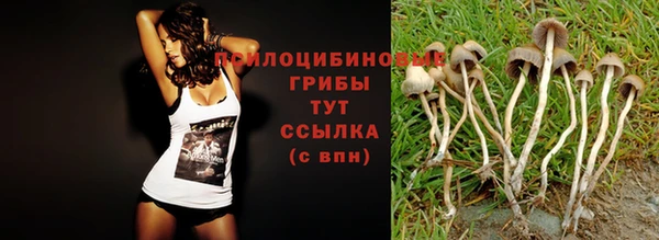 мдпв Белокуриха